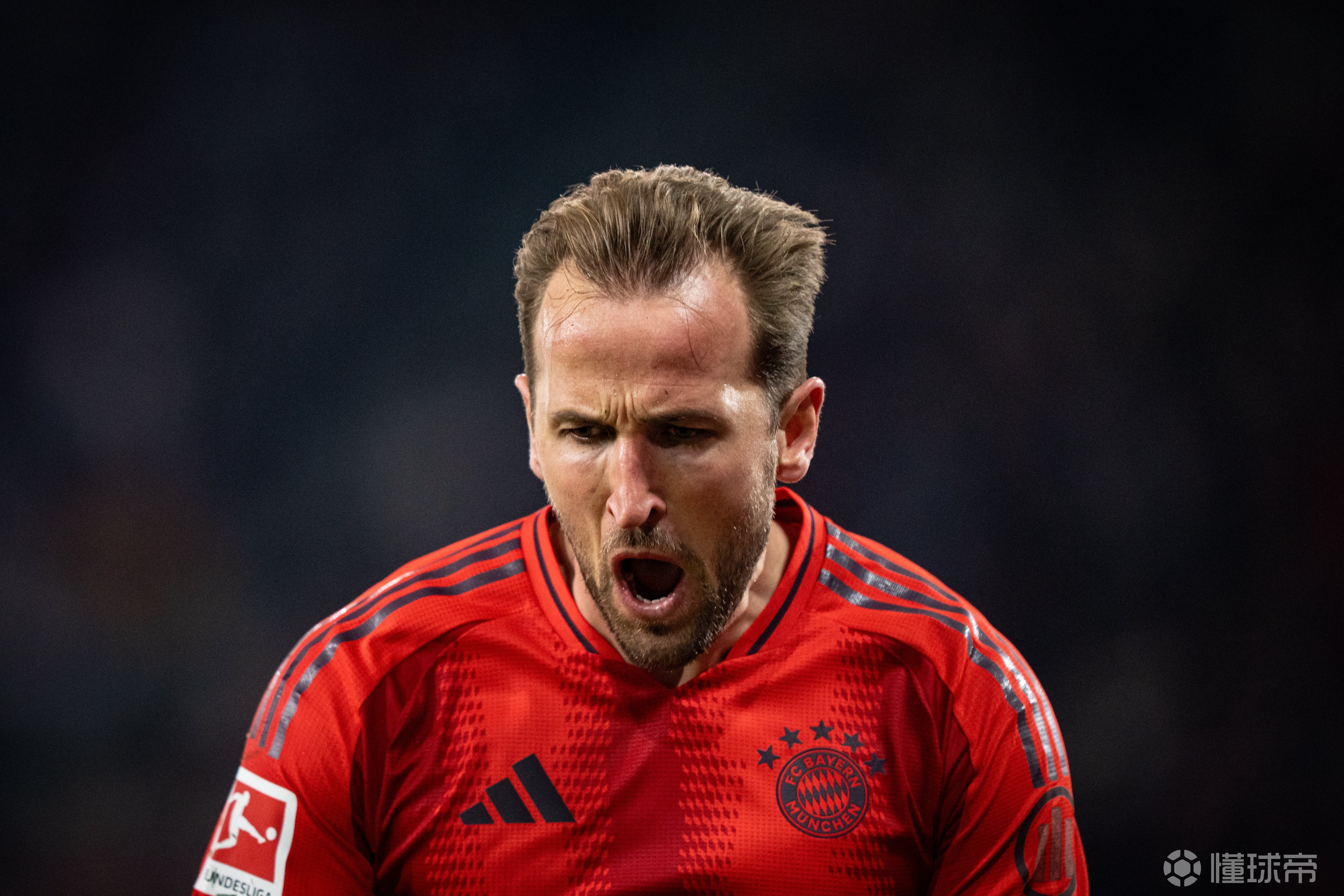 芒果体育- 凯恩就职于哪个球队 