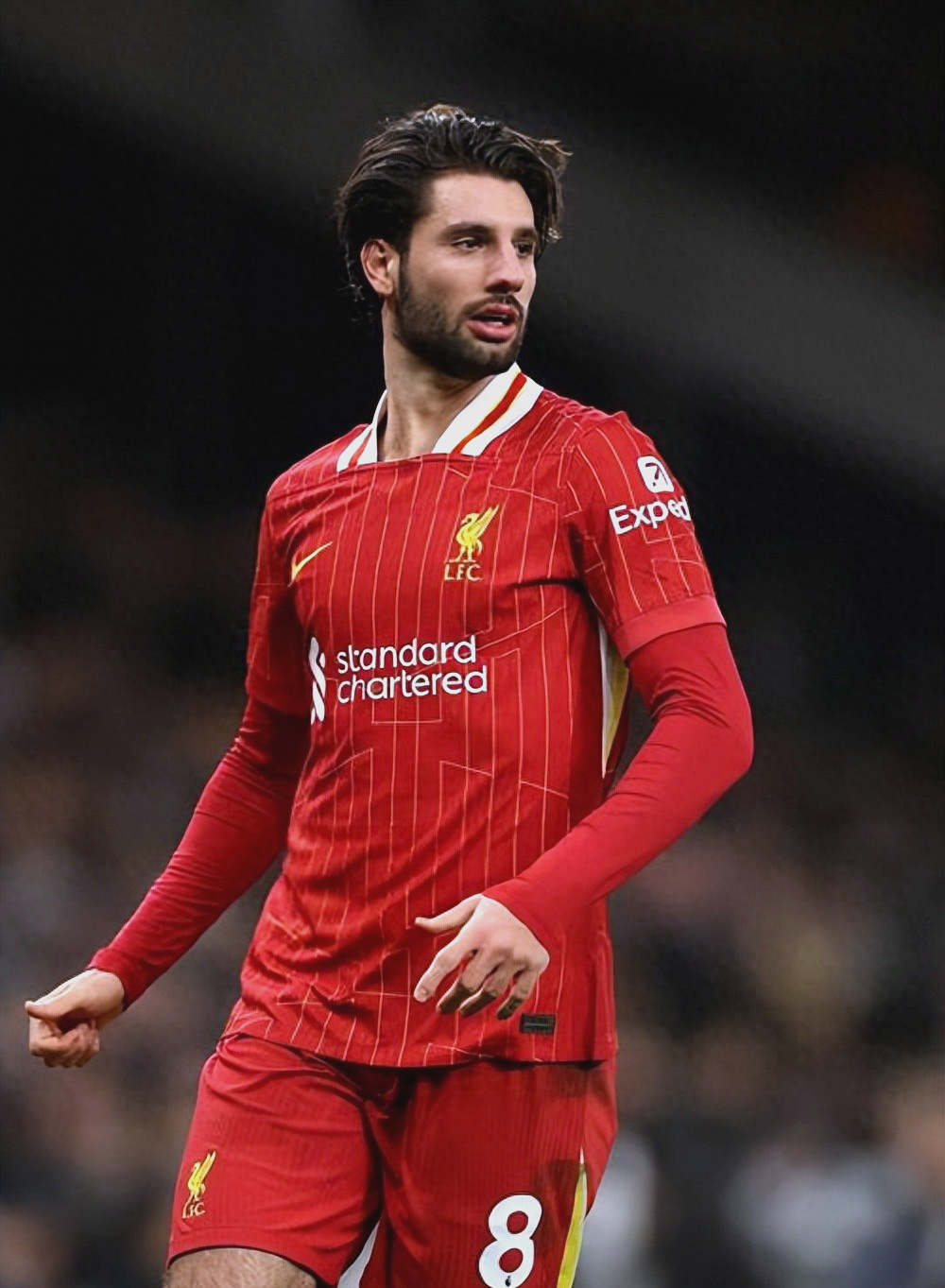 芒果体育-关于利物浦迎欧冠关键赛，集结日手感冰凉，悬念犹存，年轻球员得到机会的信息